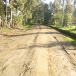 Security, Munyeki, terrorizing, Group 4, Kali Security, Wells Fargo, Olkalou, Nyandarua